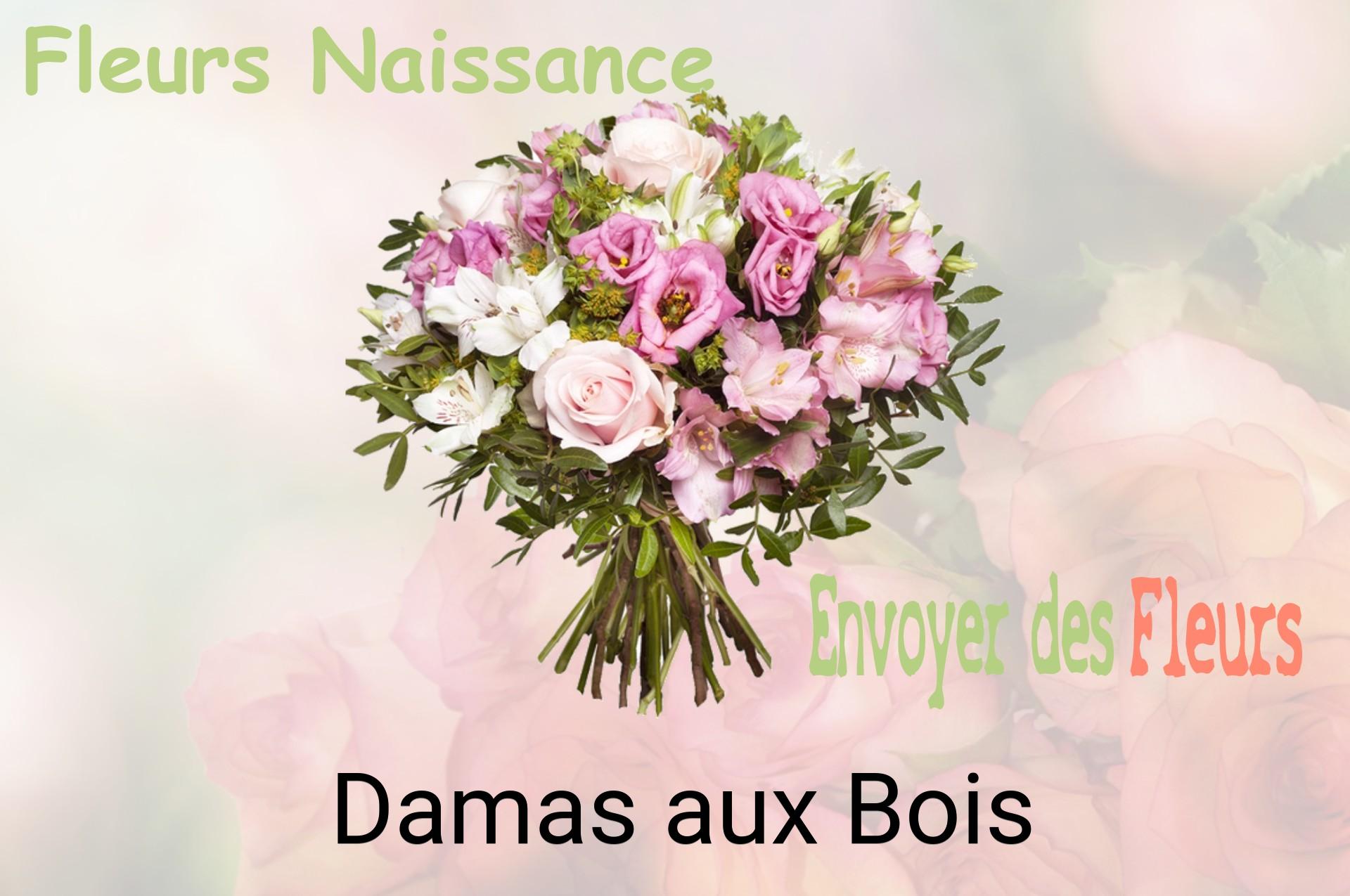 Bouquet de fleurs de naissance livré à Damas-aux-Bois
